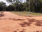 Land for Sale in Anuradhapura