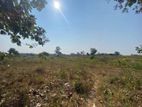 Land for Sale in Anuradhapura