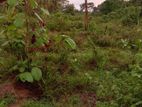 Land for Sale in Anuradhapura