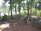 Land for Sale in Anuradhapura