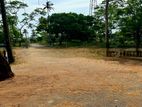 Land for Sale in Anuradhapura