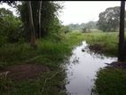 Land for Sale in Anuradhapura