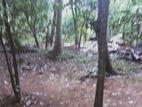 Land For Sale In Anuradhapura...