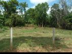 Land for sale in Anuradhapura