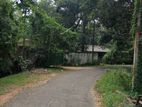 Land for Sale in Anuradhapura