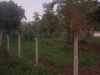 Land for Sale in Anuradhapura
