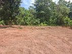 Land for Sale in Anuradhapura