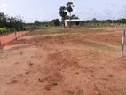 Land For Sale In Anuradhapura.