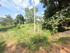 Land For Sale In Anuradhapura