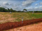 Land for Sale in Anuradhapura