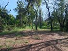 Land for Sale in Anuradhapura