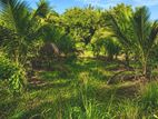 Land For sale in Anuradhapura
