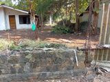 Land for Sale in Anuradhapura