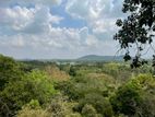 Land for Sale in Anuradhapura