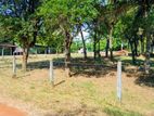 Land for Sale in Anuradhapura