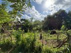 Land for Sale in Anuradhapura