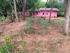 Land for Sale in Anuradhapura