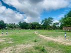 Land for Sale in Anuradhapura