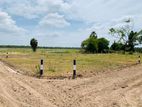 Land for Sale in Anuradhapura