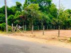 Land for sale in Anuradhapura