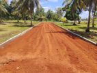 Land for Sale in Anuradhapura Nachchaduwa