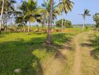 Land for Sale in Anuradhapura Nachchaduwa