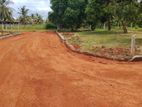Land for Sale in Anuradhapura Nachchaduwa