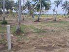 Land for Sale in Anuradhapura Nachchaduwa Road
