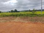 land for sale in anuradhapura nachchaduwa road