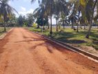 Land for Sale in Anuradhapura Nachchaduwa Road