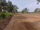 Land for Sale in Anuradhapura Nachchaduwa Road
