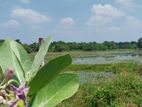 Land for sale in Anuradhapura (පුජාභුමියට ආසන්නව)