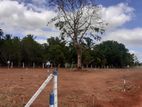 Land for Sale in Anuradhapura Puththalam Road