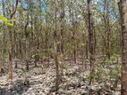 Land for sale in Anuradhapura / SA 12652
