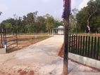Land for Sale in Anuradhapura Saliyamawatha