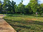 Land for Sale in Anuradhapura Saliyamawatha