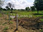 Land for Sale in Anurdhapura