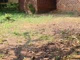 Land for Sale in Anurdhapura