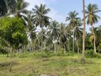 Land for sale in Arachchikattuwa