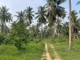 Land for sale in arachchikattuwa