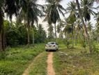 Land for Sale in Arachchikattuwa