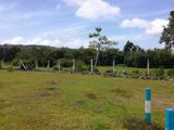 Land for Sale in Aramanagolla, Horana