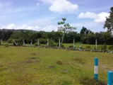 Land for Sale in Aramanagolla, Horana