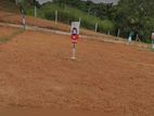 Valuable Land For Sale In Artigala. Homagama