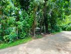 Land for Sale in Arukgoda, Panadura