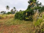 Land for Sale in Aththanagalla - CA 12614
