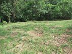 Land for Sale in Aththanagalla