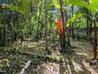 Land for Sale in Aththanagalla