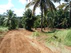 Land for Sale in Aththanagalla Gampaha