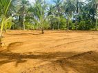 Land For Sale In Aththanagalla Kiridiwela අත්තනගල්ල කිරිදිවෙල නගරයෙන්